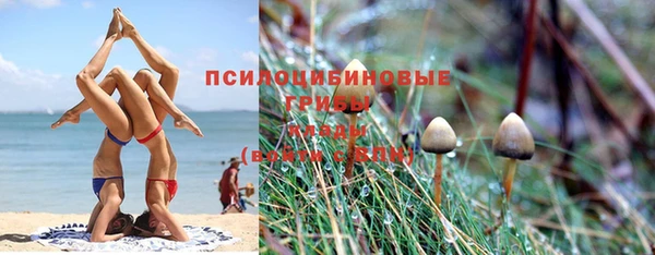 винт Михайловск