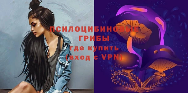 эйфоретик Михайлов