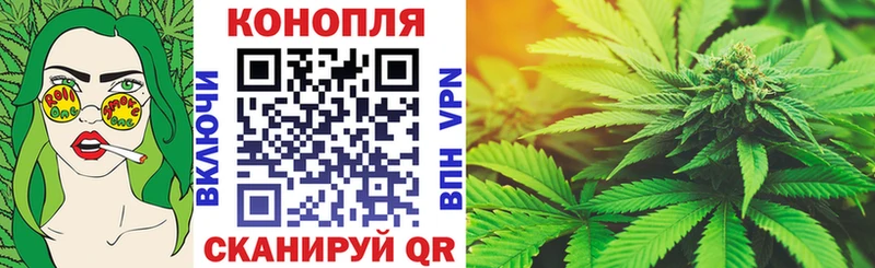 Конопля план  Купить где  Жуков 
